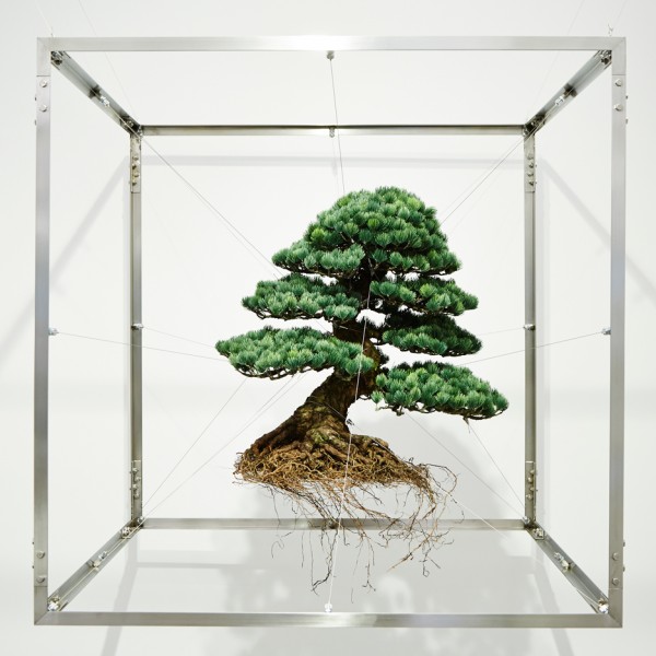 Installation by Japanese artst Azuma Makoto for Capsule #5 exhibition at Chamber in New York, USA
