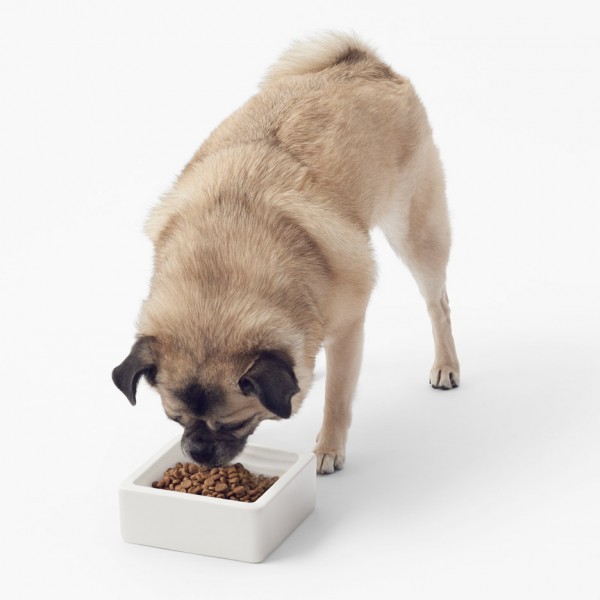 Cubic pet goods by Nendo