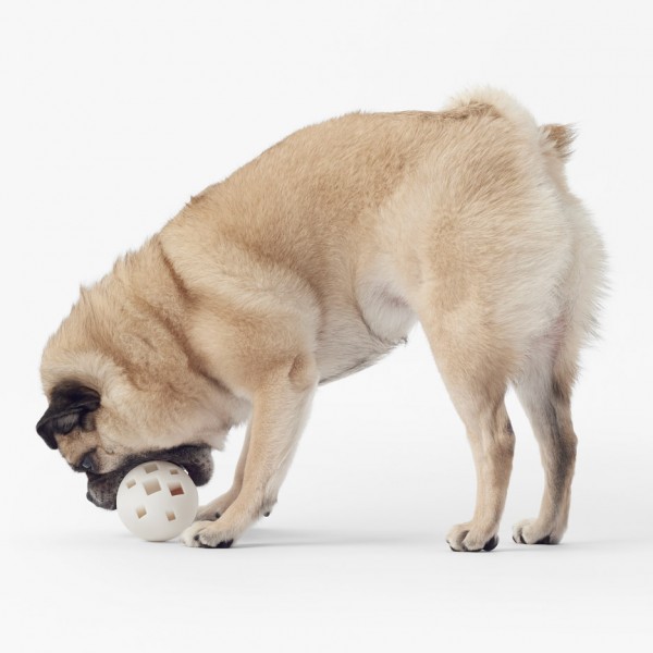 Cubic pet goods by Nendo