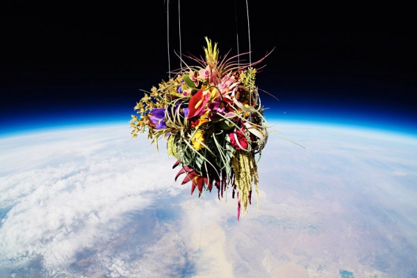 Exobiotanica by Japanese artst Azuma Makoto for Capsule #5 exhibition at Chamber in New York, USA