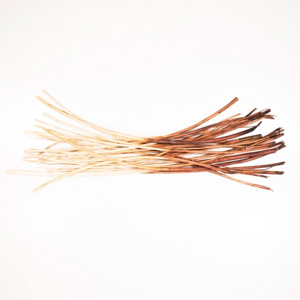 The Willow Project by students from the Iceland Academy of Arts