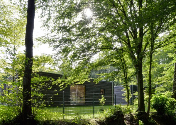 Kinderkrippe by Kraus Schonberg Architekten a timber Nursery School in Hamburg Germany