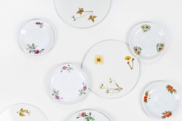 Evergreen platters by Meike Harde