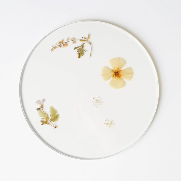Evergreen platters by Meike Harde