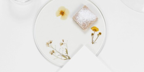 Evergreen platters by Meike Harde