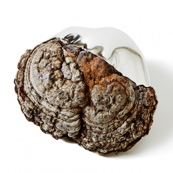Polypore by Japanese artst Azuma Makoto for Capsule #5 exhibition at Chamber in New York, USA