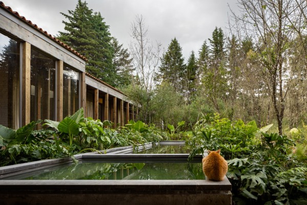 Santana House by CC Arquitectos