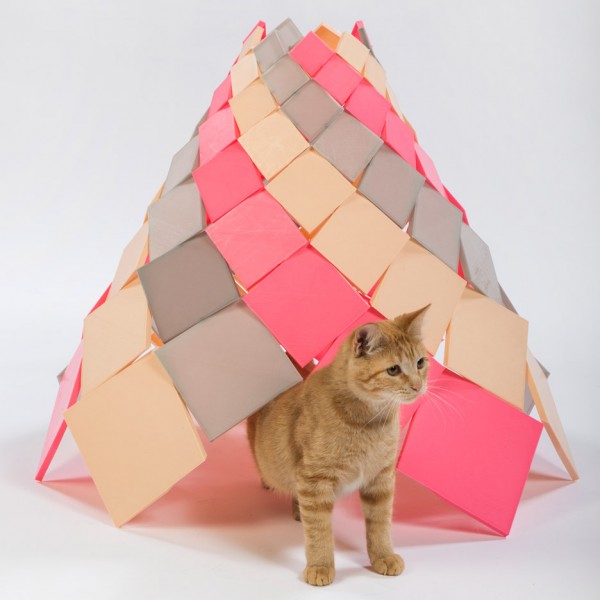 Spiral Kitty by DSH Architecture