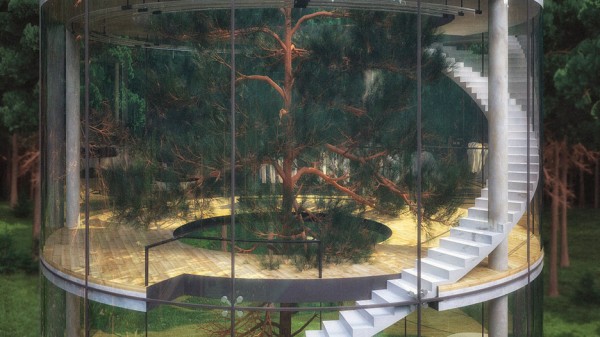Tree in House by Aibek Almassov