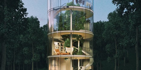 Tree in House by Aibek Almassov