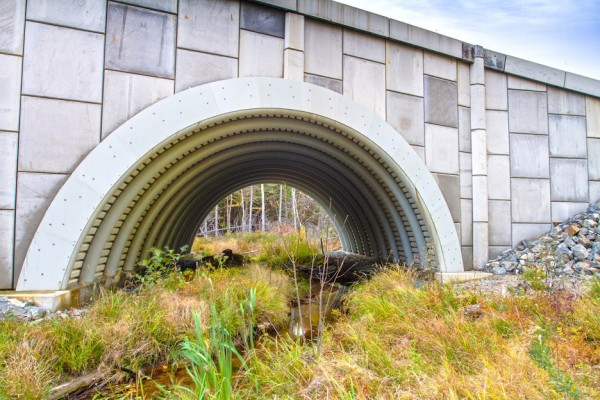 University of Maine bridge