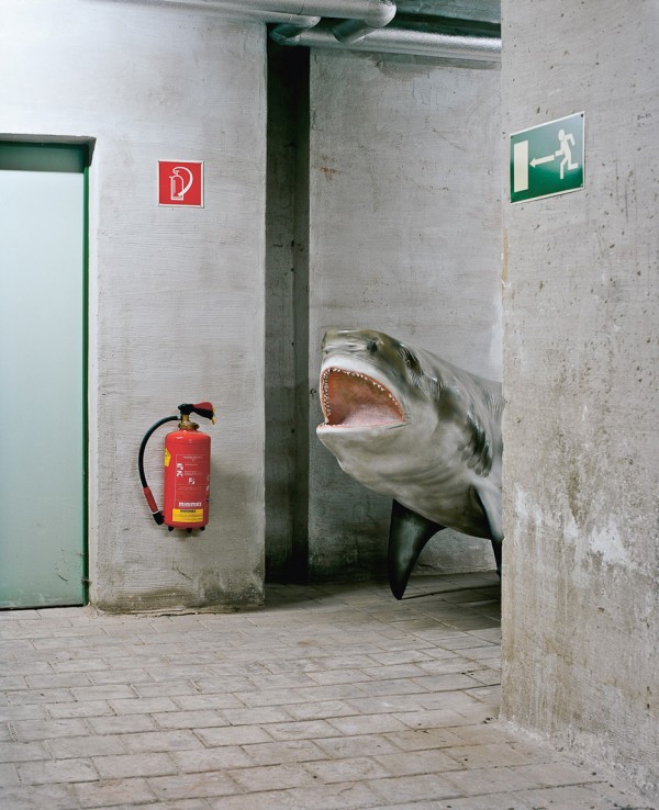 Vienna Natural History Museum by Klaus Pichler