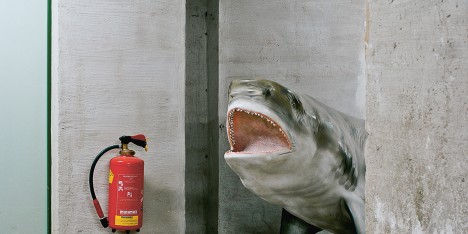 Klaus Pichler goes behind the scenes of Vienna’s Natural History Museum