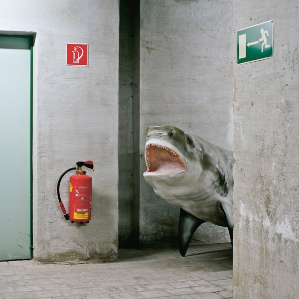 Klaus Pichler goes behind the scenes of Vienna’s Natural History Museum
