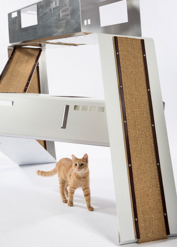 Cat Club by Warren Office + Schmidt Designs
