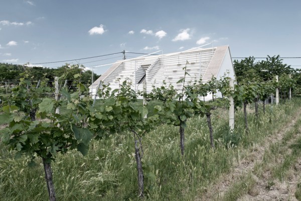 Weinblick March Gut Wine Tavern in Austria