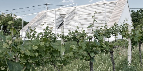 Weinblick March Gut Wine Tavern in Austria
