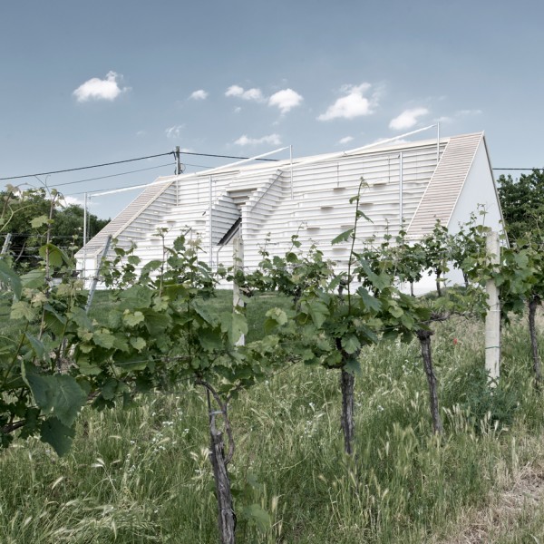 Weinblick March Gut Wine Tavern in Austria