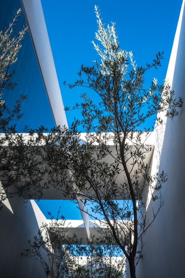 Casa MK by Roof
