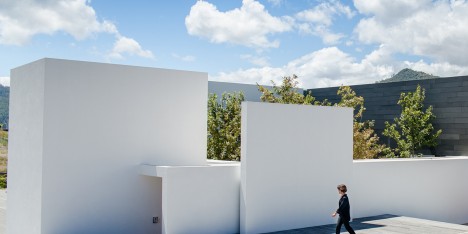 Roof Arquitectos arranges Mexican residence around a “forest” of red oak trees