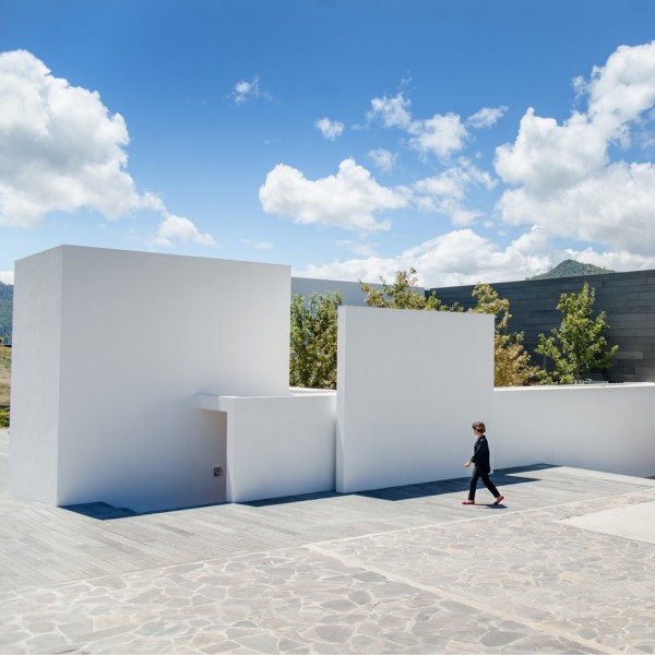 Roof Arquitectos arranges Mexican residence around a “forest” of red oak trees