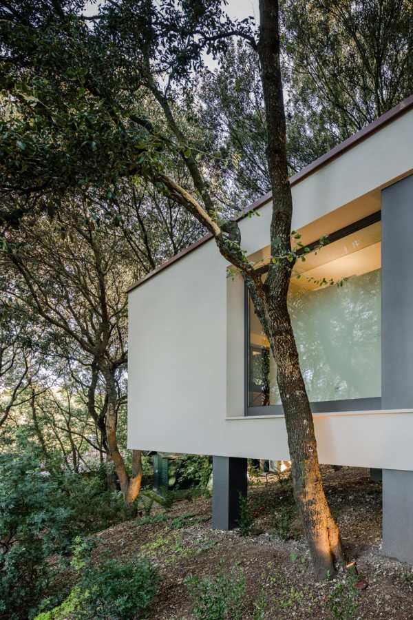 casa-nel-bosco-officina29-architetti-house-in-the-woods-joao-morgado_dezeen_936_2