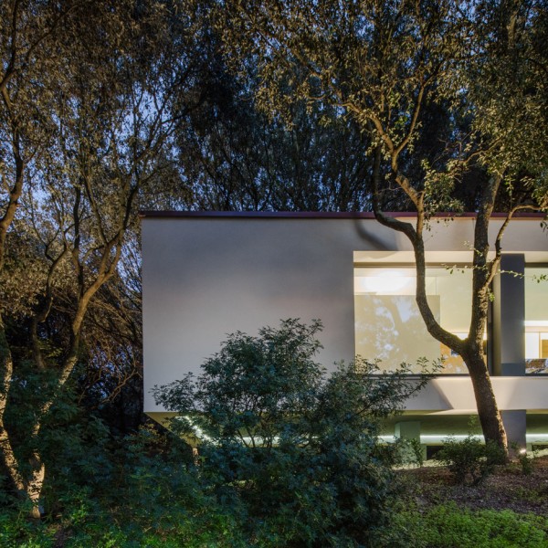 casa-nel-bosco-officina29-architetti-house-in-the-woods-joao-morgado_dezeen_936_59