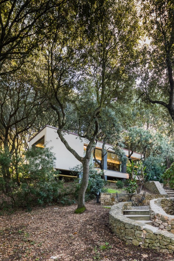 casa-nel-bosco-officina29-architetti-house-in-the-woods-joao-morgado_dezeen_936_8
