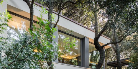 Casa nel Bosco by Officina29 Architetti