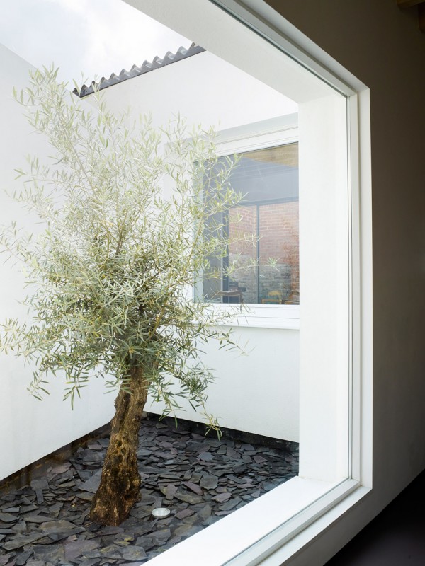 Courtyard House by Dallas Pierce Quintero