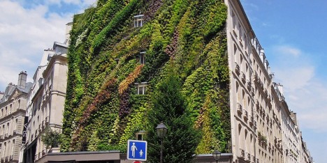 Today we like: sustainable design