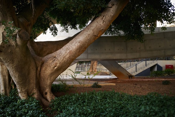 issam-fares-institute-zaha-hadid-julien-lanoo-architecture-photography_dezeen_936_6