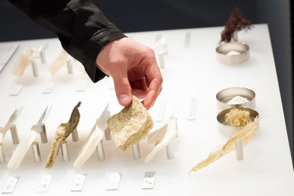 Lexus Design Award 2016