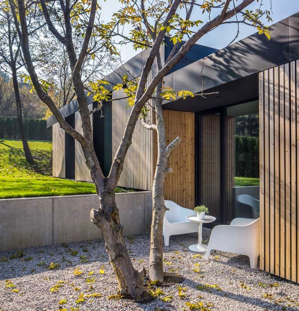 Pagoda House by I/O architects