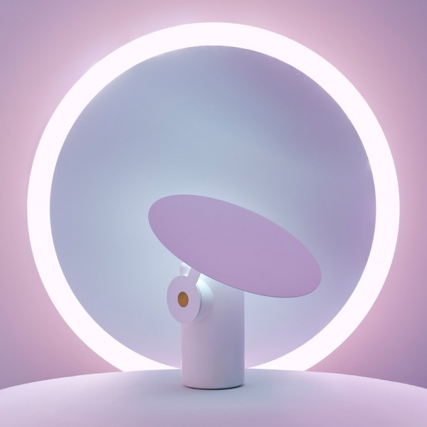 Polar Desk Lamp by Ross Gardam