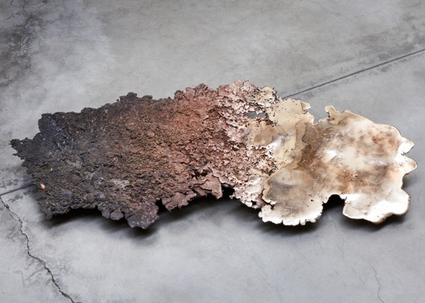 Advanced Relics exhibition by Dutch Invertuals