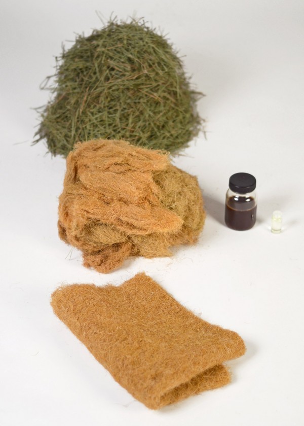 Forest Wool by Tamara Orjolo