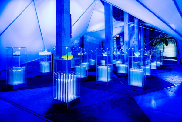 The Nature of Motion exhibition by Nike