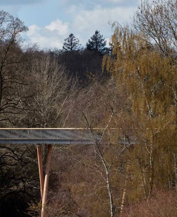Westonbirt Arboretum walkway by Glenn Howells Architects
