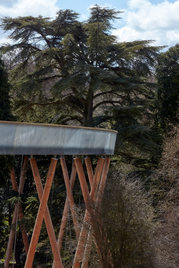 Westonbirt Arboretum walkway by Glenn Howells Architects