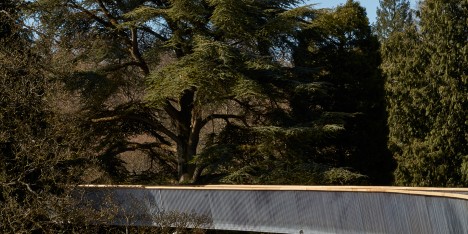 Westonbirt Arboretum walkway by Glenn Howells Architects