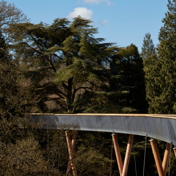 Westonbirt Arboretum walkway by Glenn Howells Architects