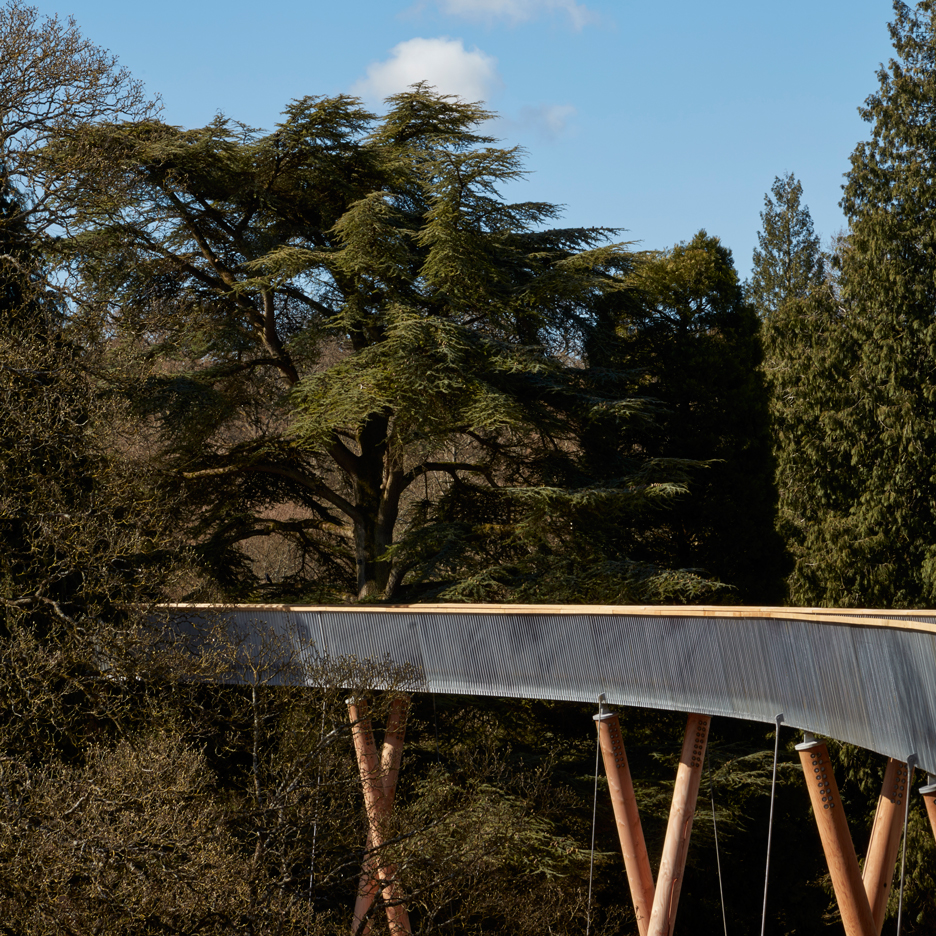 Westonbirt Arboretum walkway by Glenn Howells Architects