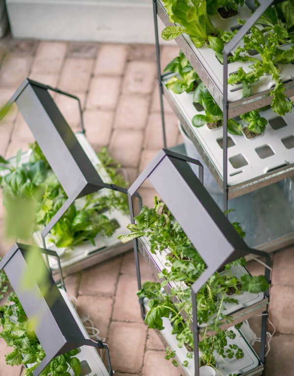 Ikea introduce a hydroponic indoor gardening kit