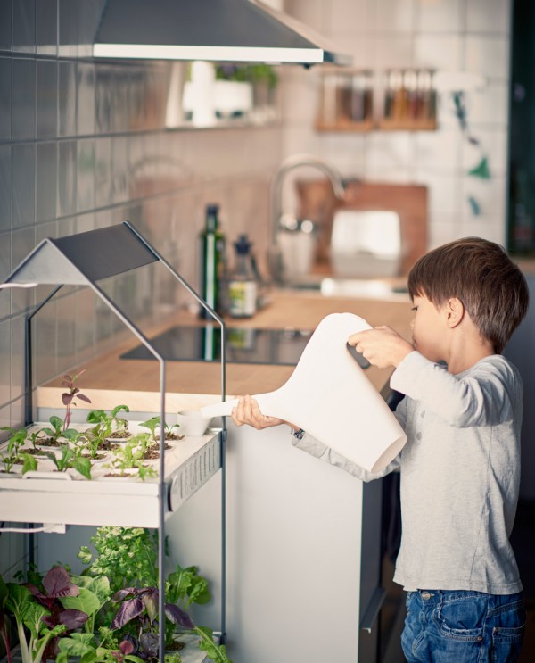 Ikea introduce a hydroponic indoor gardening kit