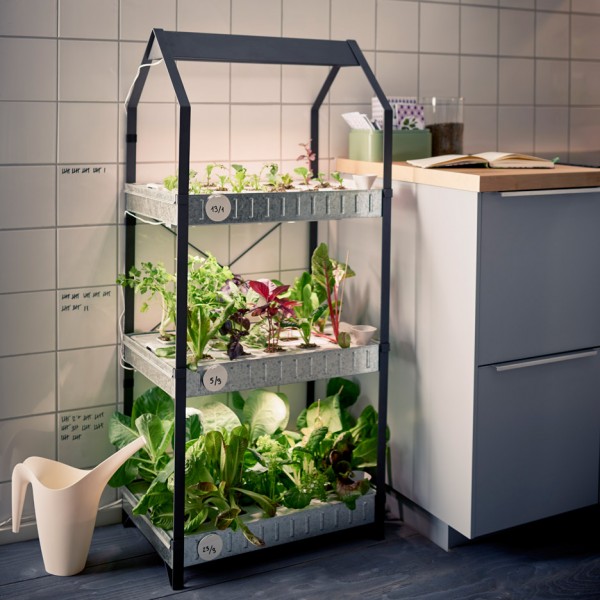 Ikea introduce a hydroponic indoor gardening kit