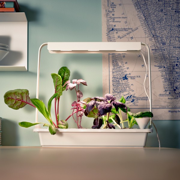 Ikea introduce a hydroponic indoor gardening kit