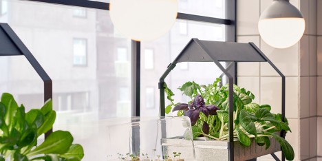 Ikea introduce a hydroponic indoor gardening kit