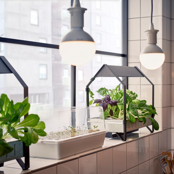 Ikea introduce a hydroponic indoor gardening kit