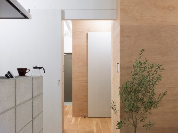 J House by Domino Architecture